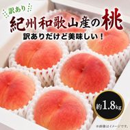 ［2027年発送］［ご家庭用訳あり］紀州和歌山産の桃 約1.8kg［UT153］ 303446_XF91196