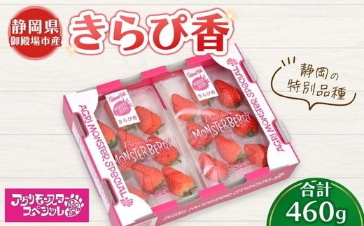 きらぴ香 静岡の特別品種 230g×トレー2枚 計460g | いちご 苺 果物 静岡県 ※2026年1月上旬〜4月中旬頃に順次発送予定 ※北海道・沖縄・離島への配送不可