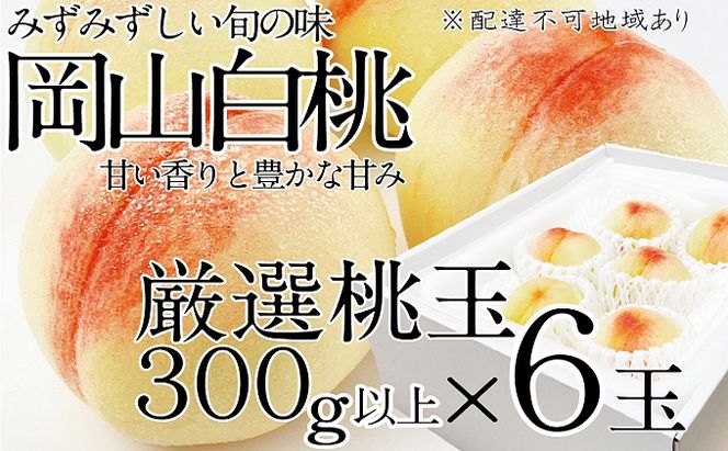 桃 2026年 先行予約 岡山の白桃 300g以上×6玉 白桃 旬 みずみずしい 晴れの国 おかやま 岡山県産 フルーツ王国 果物王国 デザート 岡山の桃 旬の桃 