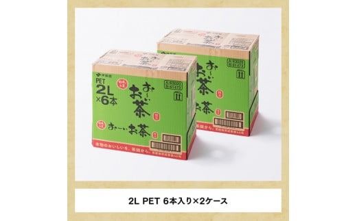 おーいお茶 緑茶 2L×6本×2ケース [D07353]