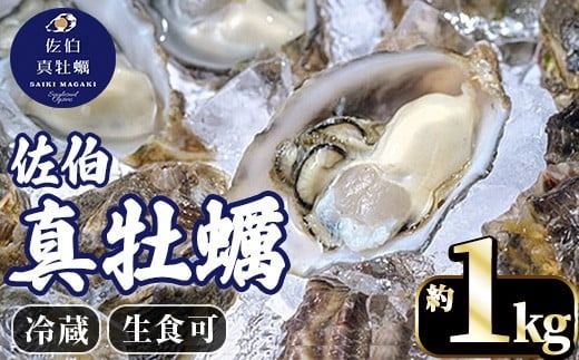 y啪sz^y ߌY (1kg) y JL VN  y JL JLtC yHzyEW061zyUpz