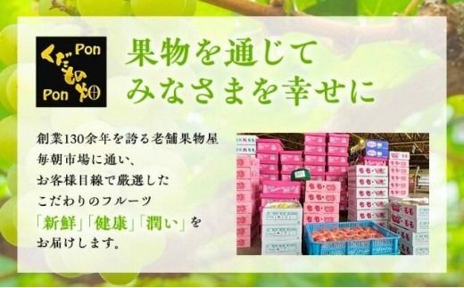 先行予約 デコポン 厳選 約3kg 不知火 しらぬい 柑橘 果物 フルーツ 果実 みかん ふるさと納税 スイーツ デザート ジュース ゼリー ジャム 人気 ふるさと納税 フト プレゼント 贈答 お取り寄せ 送料無料 香川県 丸亀市 【2027年3月中旬以降発送開始】
