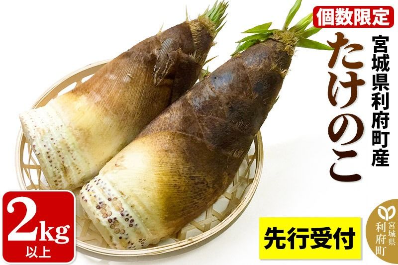 [先行受付 2026年4月以降発送]宮城県利府町産 採れたて たけのこ 皮付き2kg以上(2〜6本)筍 タケノコ 野菜 国産 新鮮 旬|06_ods-020201
