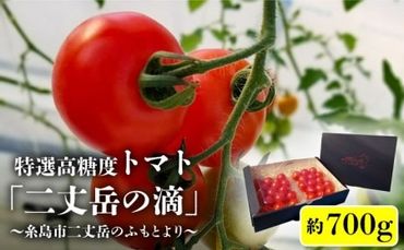 【先行予約】【二丈岳の滴】化粧箱入り トマト 約350g×2パック 【2024年11月以降順次発送】糸島市 / 株式会社さいかい [AFL001] トマト とまと