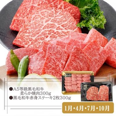 定期便3回配送　お肉とお魚よりどり定期便 LL-6016 【1498567】