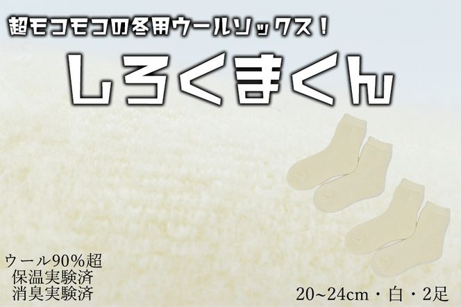 本当に温かいウールの靴下 しろくまくん（ホワイト）２足セット Ｍ２０cm ～２４cm//  靴下 温かい 温活 ルームソックス 冷え  ウール 足元 靴下 くつした ソックス ルームシューズ 日本製 国産 奈良県 広陵町