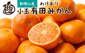 【先行予約】家庭用 小さな有田みかん 小さな(S以下) 10kg+250g ※10月より発送【わけあり・訳あり】【光センサー選果】※北海道・沖縄・離島配送不可 / みかん 果物 和歌山 果実 フルーツ有田 小玉 ミカン 柑橘【ikd212A】