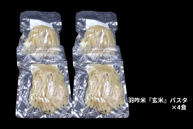 能登のこだわり自然栽培こしひかり 羽咋米を使った米粉のパスタ麺[玄米麺×4]