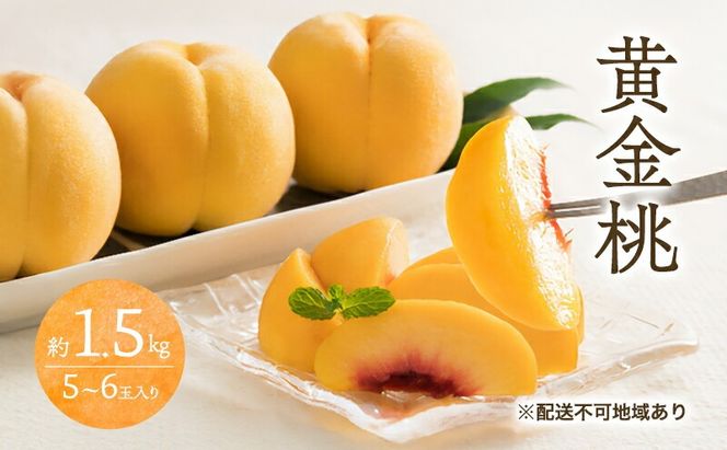 桃 2026年 先行予約 黄金桃 1.5kg 5～6玉 もも モモ 岡山 国産 フルーツ 果物 ギフト 桃茂実苑