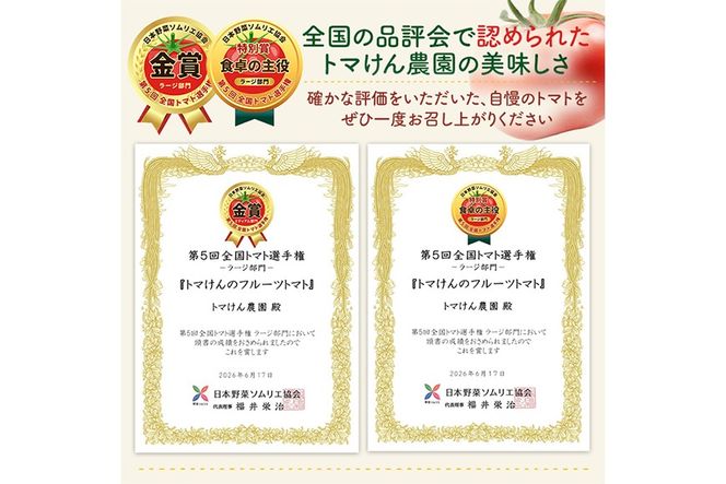 ＼全国トマト選手権 金賞＆特別賞受賞 ／＜先行予約受付中！2027年2～5月の間に発送予定＞トマけんのフルーツトマト(計1kg) フルーツトマト 高糖度 トマト サラダ 野菜 旬野菜 冷蔵 門川町産 宮崎県 門川町 【TK-01】【トマけん農園】