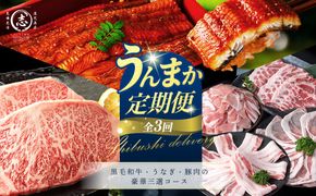【定期便全3回】黒毛和牛・うなぎ・豚肉の豪華三選コース 志布志うんまか定期便 t0050-022