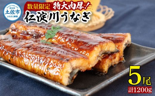 【数量限定！】仁淀川特大肉厚うなぎ5尾セット タレ付き うなぎ 鰻 ウナギ 国産 蒲焼き かば焼き 1尾200g超え 仁淀川 太化うなぎ 【株式会社山本養鰻】 [BQAL002]