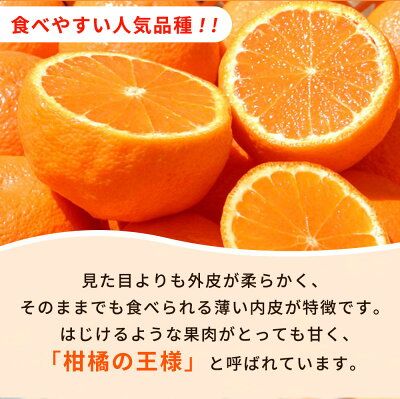 【2027年先行予約】不知火 5kg デコポン 柑橘の王様 甘い プリプリ ジューシー 濃厚 フルーツ 果実 果物 柑橘 紀州有田産 国産 食品 食べ物 お取り寄せ 魚鶴商店 和歌山県 湯浅町 送料無料_G7356