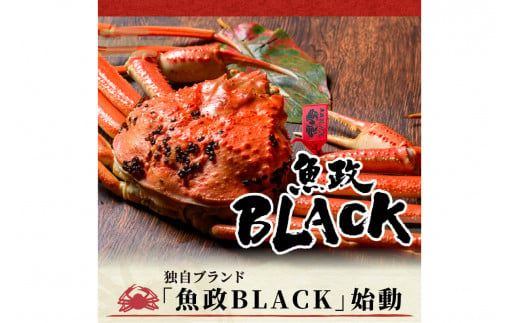 【蟹の匠 魚政】茹で　プレミアムズワイガニ 魚政BLACK（松葉ガニ・越前ガニ）特撰 大サイズ（1000～1100g） 1匹(11月～12月発送)　UO01298