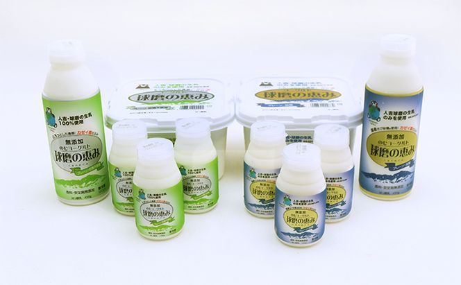 球磨酪農おすすめ！球磨の恵み ヨーグルト 詰合せ セット ヨーグルト1kg×2個・のむヨーグルト（450g×2本・150g×6本）※配送不可：沖縄・離島 乳製品 ヨーグルトドリンク 生乳100% 熊本県産 朝ご飯 発酵食品 健康 腸内環境 乳酸菌 