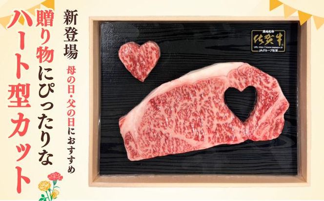 【佐賀牛】肉の王様☆サーロインステーキ 500g (約250g×2枚）国産 黒毛和牛 ステーキ 霜降り ごちそう グルメ お取り寄せ ギフト 贈答 贈り物