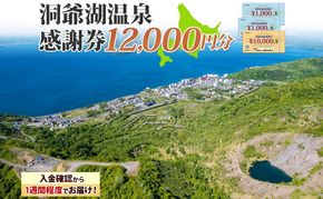 洞爺湖温泉感謝券 12000円 分 金券 クーポン 洞爺湖 湖 温泉 リゾート 有珠山 火山 自然 花火 イルミネーション 旅行 観光 宿泊 施設 北海道 