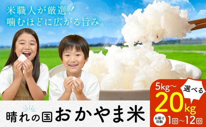 白米 訳あり 米 コメ こめ  晴れの国おかやま白米 選べる 5kg 10kg 20kg お届け回数 1回 3回 6回12回 定期便《出荷時期をお選びください》---kasaoka_zsy_444_5---