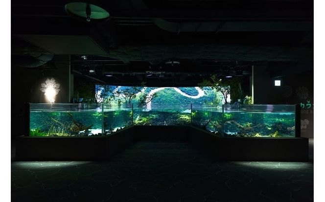 カワスイ 川崎水族館ペアチケット