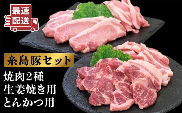 JA糸島 糸島豚 焼肉 トンカツ 生姜焼き セット 糸島市 / JA糸島産直市場 伊都菜彩 [AED003] 豚肉 詰め合わせ セット ブタ ぶた ロース 豚バラ とんかつ 冷凍