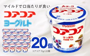 愛知ヨーク　コアコアヨーグルト　20個入　ヨーグルト デザート 健康 給食 保育園 幼稚園 小学校 中学校 支援学校 病院 高齢者施設 ［108A01］