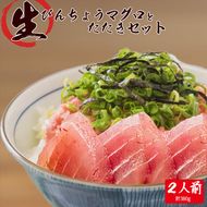 那智勝浦直送！天然もちもち生ビン長まぐろとたたきセット 2人前 ※離島への配送不可