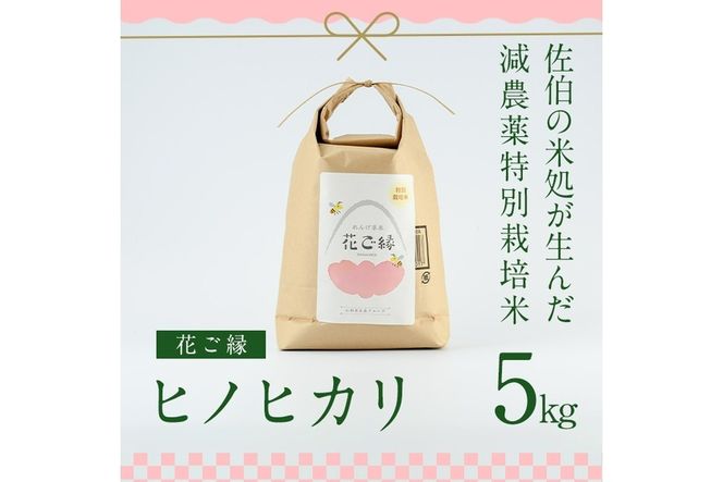 ＜先行予約受付中！2026年11月より発送開始予定＞【令和8年産】減農薬特別栽培米 はなご縁 (計5kg) 米 ひのひかり ヒノヒカリ 精米 白米 大分県産 数量限定 大分県 佐伯市【HD129】【さいき本舗 城下堂】