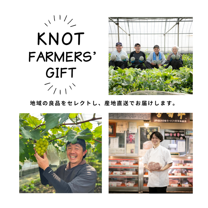 【2026年発送 先行予約】生産農家応援・濃厚果肉 みやざき完熟マンゴー極撰 3L×2玉（マンゴー フルーツ アップルマンゴー 果物 くだもの 2026 先行受付 宮崎）