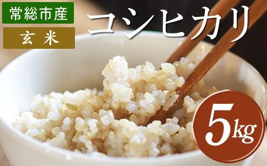 令和7年産 コシヒカリ5kg 玄米 常総市産