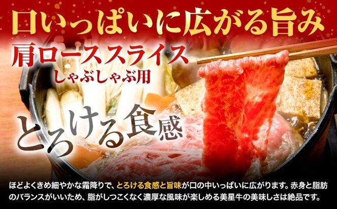 【12ヶ月定期便】美星牛 お肉の定期便 サーロインステーキ 肩ローススライス しゃぶしゃぶ用 ハレノヒ良品《お申込み月の翌月から発送》 岡山県 浅口市 肉 和牛 国産 牛肉 サーロイン 牛ロース しゃぶしゃぶ---124_f399tei_90d_23_304000_mo12num1---