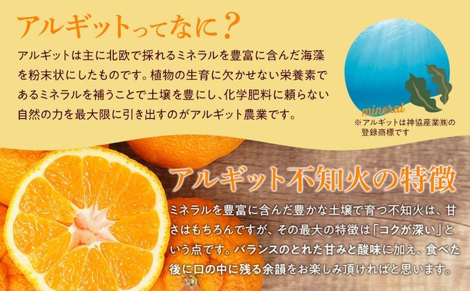 アルギット 不知火 約5kg 中玉 サイズ（20～22玉）| 先行予約 不知火 デコ みかん 甘い おいしい ジューシー 完熟 期間限定 数量限定 フルーツ 果物 柑橘 人気 おすすめ 高級 こだわり ギフト 旬 お取り寄せ 送料無料 和歌山 有田川町 DT017