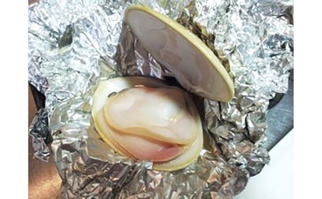 地元漁師が厳選！”天然蛤”ご注文時お勧めサイズお任せセット5kg入り 海鮮 魚介類 魚貝類 貝 はまぐり たっぷり 5kg 