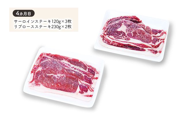 湧別町 4カ月 お勧め返礼品 定期便 スイーツ お肉 牛肉 グルメ ステーキ用 アイスクリーム 鮭とば 珍味 たらばがにラーメン サーロイン リブロース 