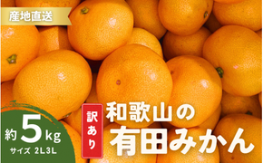 家庭用 訳あり 有田みかん 和歌山 2L,3Lサイズ  箱込み5㎏【10月上旬～1月下旬頃に順次発送】/ みかん フルーツ 果物 くだもの 有田みかん 蜜柑 柑橘【ktn011】