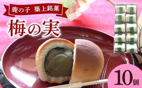 【老舗の菓子屋】築上銘菓「 梅の実 」10 個《築上町》【有限会社 御菓子司 鹿の子】[ABAC018]