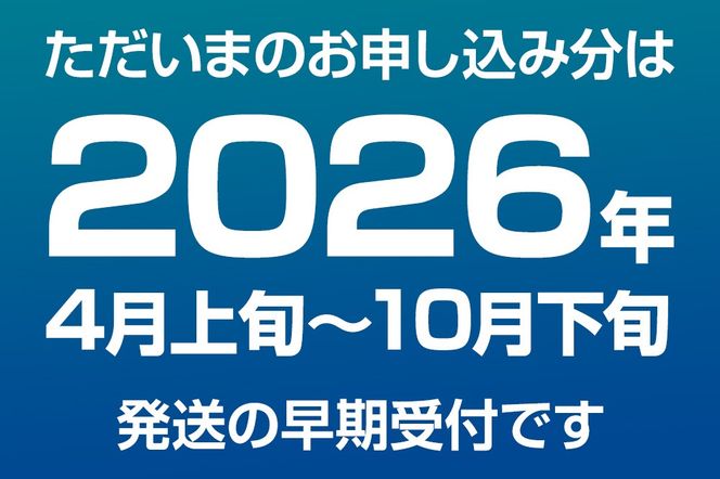《先行受付 2026年4月上旬より発送》産地直送 ナンバンエビ 約1kg！ ぷりっぷりでとろける甘さ お刺身や海鮮丼に 秋田県 男鹿市 萬漁水産|23_mgs-051001