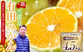 有田みかん専門店 有田の太陽®ファミリー 極早生 有田みかん 4.5kg＋補償分100g 山採れ・サイズ・等級 混合 FH02