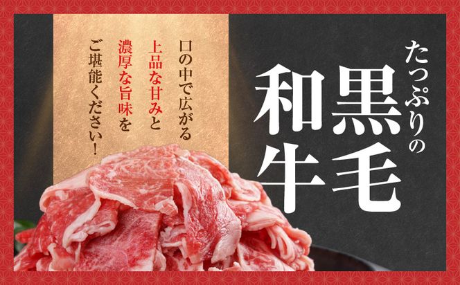 【黒毛和牛】切り落とし1.5kg(250g×6パック)_18-I901_(都城市) 牛肉 国産 黒毛和牛 外モモ ウデ マル バラ モモ ブリスケ 切り落とし 部位ミックス 250g 6パック 小分け 牛肉 炒め物  ブリスケ 