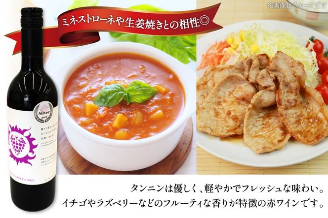 ワイン 南三陸ワイナリー マスカット・べーリーA 赤 辛口 750ml ×1本 [南三陸さんさんマルシェ 宮城県 南三陸町 m304amh600109] 酒 お酒 赤ワイン アルコール 晩酌