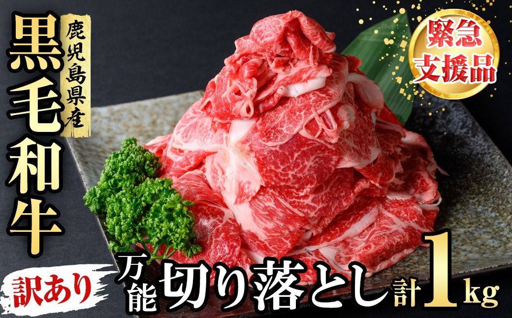[緊急支援品][訳あり]黒毛和牛万能切り落とし肉 計1kg(500g×2P)a1-143