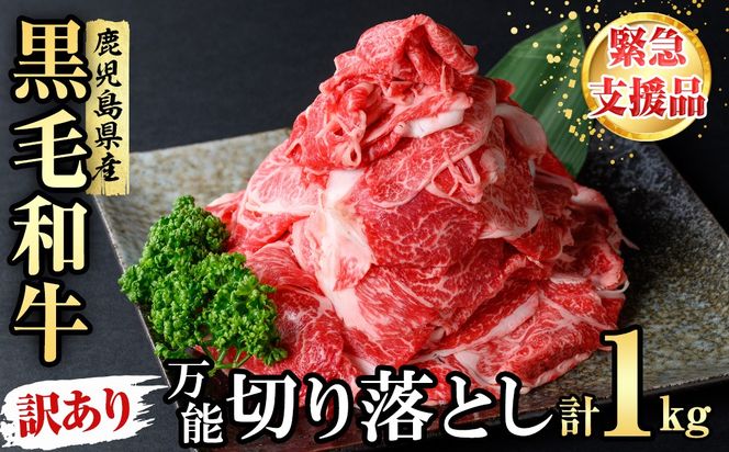 yuzuszyً}xizy󂠂zјa\؂藎Ƃ v1kgi500g×2Pja1-143