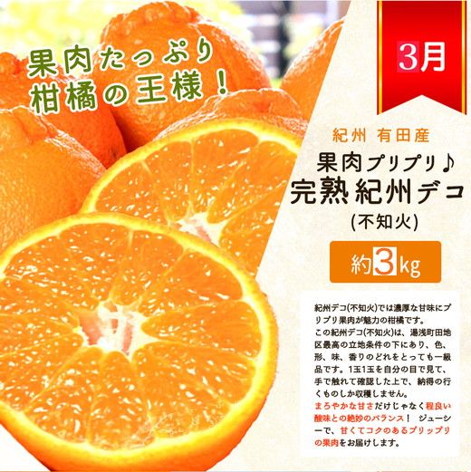 【定期便】【1・2・3月 全3回】紀州和歌山産旬 フルーツ定期便（いちご  約250g×2P 1月、ポンカン 5kg 2月、紀州デコ 約3kg 3月発送）