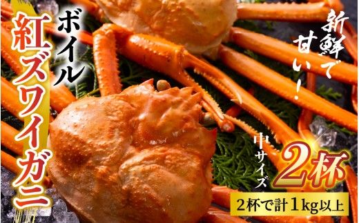 【先行予約】ボイル紅ズワイガニ 冷蔵配送 【26年10月以降順次発送予定】川村水産【紅ズワイガニ カニ ズワイガニ 紅ずわいがに かに ずわいがに 北陸 ゆで 蟹 ずわい 茹で蟹 ボイル 2杯 1kg 】