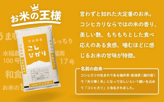 R６茨城県こしひかり精米１０キロ e2ab8aaa-a7d2-4436-8494-