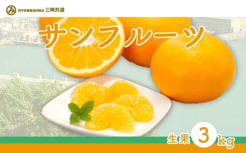 [先行予約]サンフルーツ(生果3kg)※離島への配送不可(2026年2月上旬より順次発送予定) IK