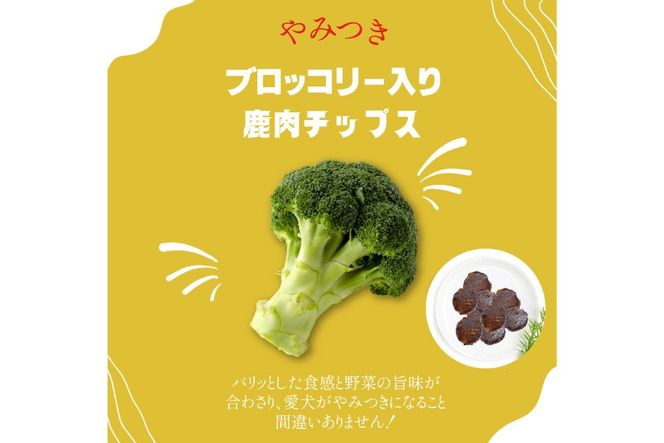 ドッグフード 無添加 FUJIDOG ブロッコリー入り鹿肉チップス 100g [FUJIDOG 山梨県 韮崎市 20745302] 高タンパク 低脂肪 10%以下 低脂質 犬のおやつ 犬の餌 国産 餌 エサ