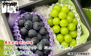 ぶどう 2026年 先行予約 農家こだわりの シャイン マスカット ＆ ニュー ピオーネ 2房 合計約1.2kg 贈答クラス 葡萄 岡山県産 国産 フルーツ 果物 ギフト 【 Nini farm 農家 直送 】 