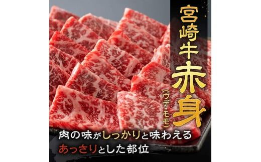 ※発送時期が選べる※宮崎牛赤身焼肉＆塩だれ牛タン　計900g 【 肉 宮崎牛 赤身 牛肉 牛たん たん 厚切り 塩ダレ 塩だれ タン 味付き BBQ 焼肉 焼き肉 焼くだけ おかず 簡単調理 】[E11147]
