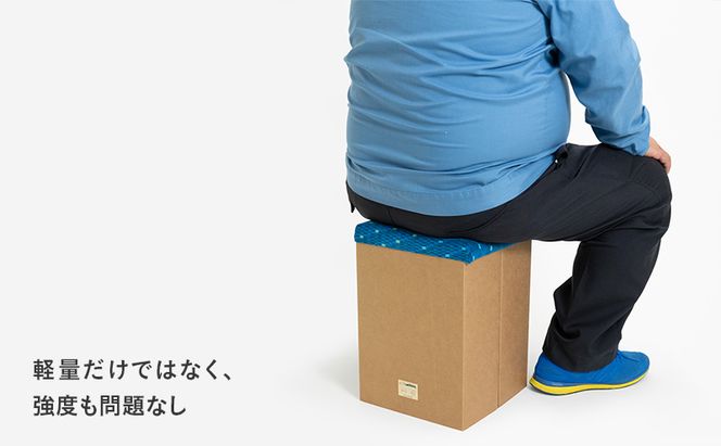 N700系typeA 東海道新幹線 mCB モケットスツール _No.1701377 雑貨 インテリア 日本製スツール 強化ダンボール採用 寝室 リビング 書斎 エコ アップサイクル 再利用 リサイクル 電車 鉄道  国産