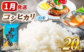 ＼2026年1月発送分／ コシヒカリ 白米 20kg / 脇野コンバイン[AECP023-5]